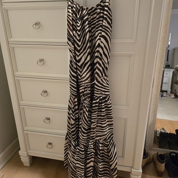 Banana Republic Zebra Stripe Maxi Dress Silk - Picture 2 of 5